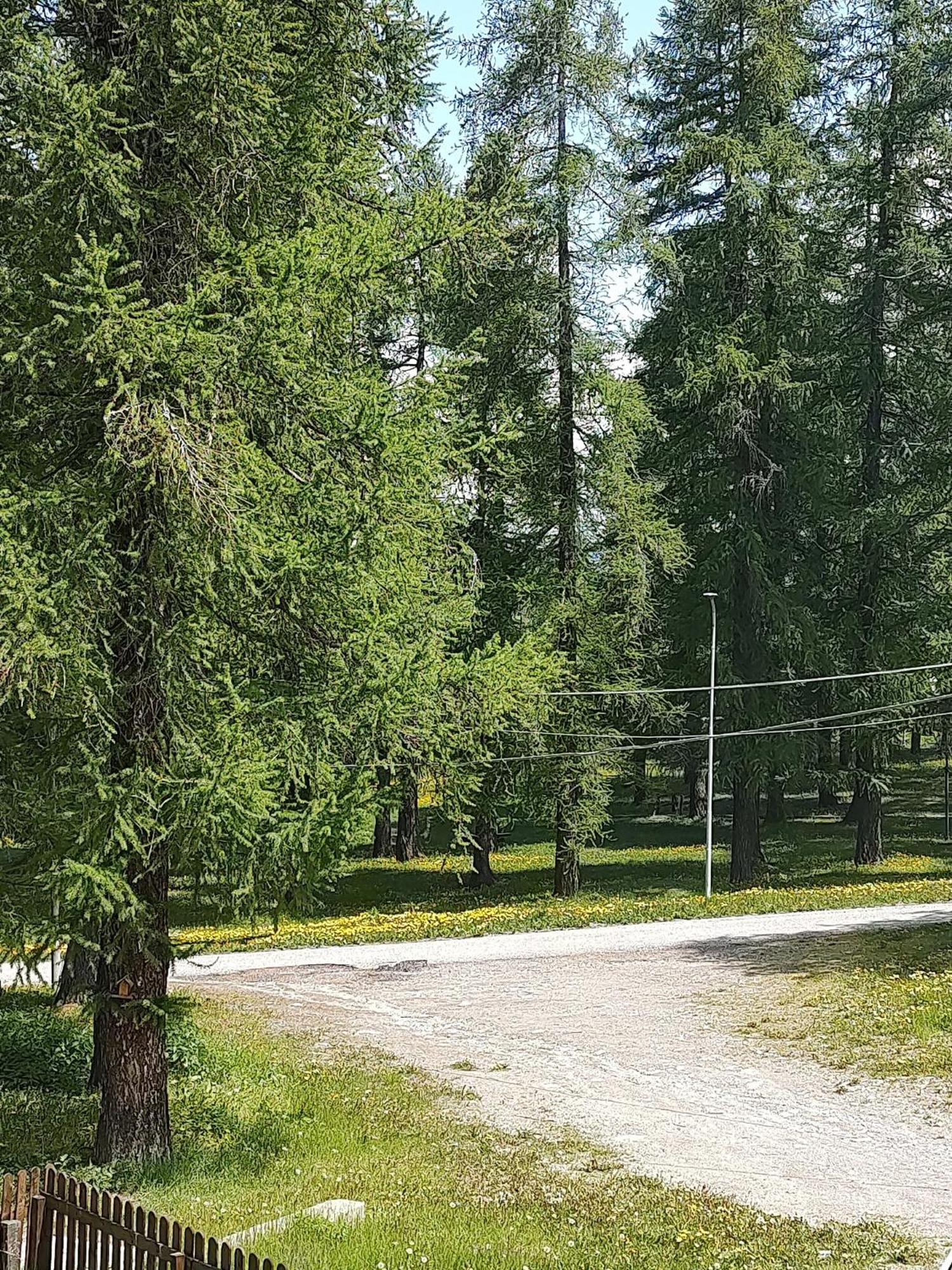 Chiomonte Montagna Che Passione 아파트 외부 사진